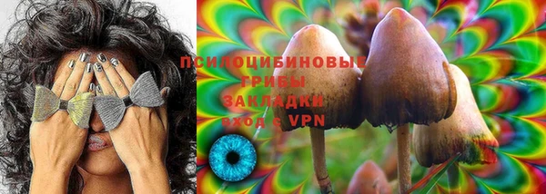 гашик Лихославль