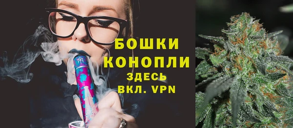 ГАЛЛЮЦИНОГЕННЫЕ ГРИБЫ Лиски